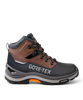 BASALT GTX M